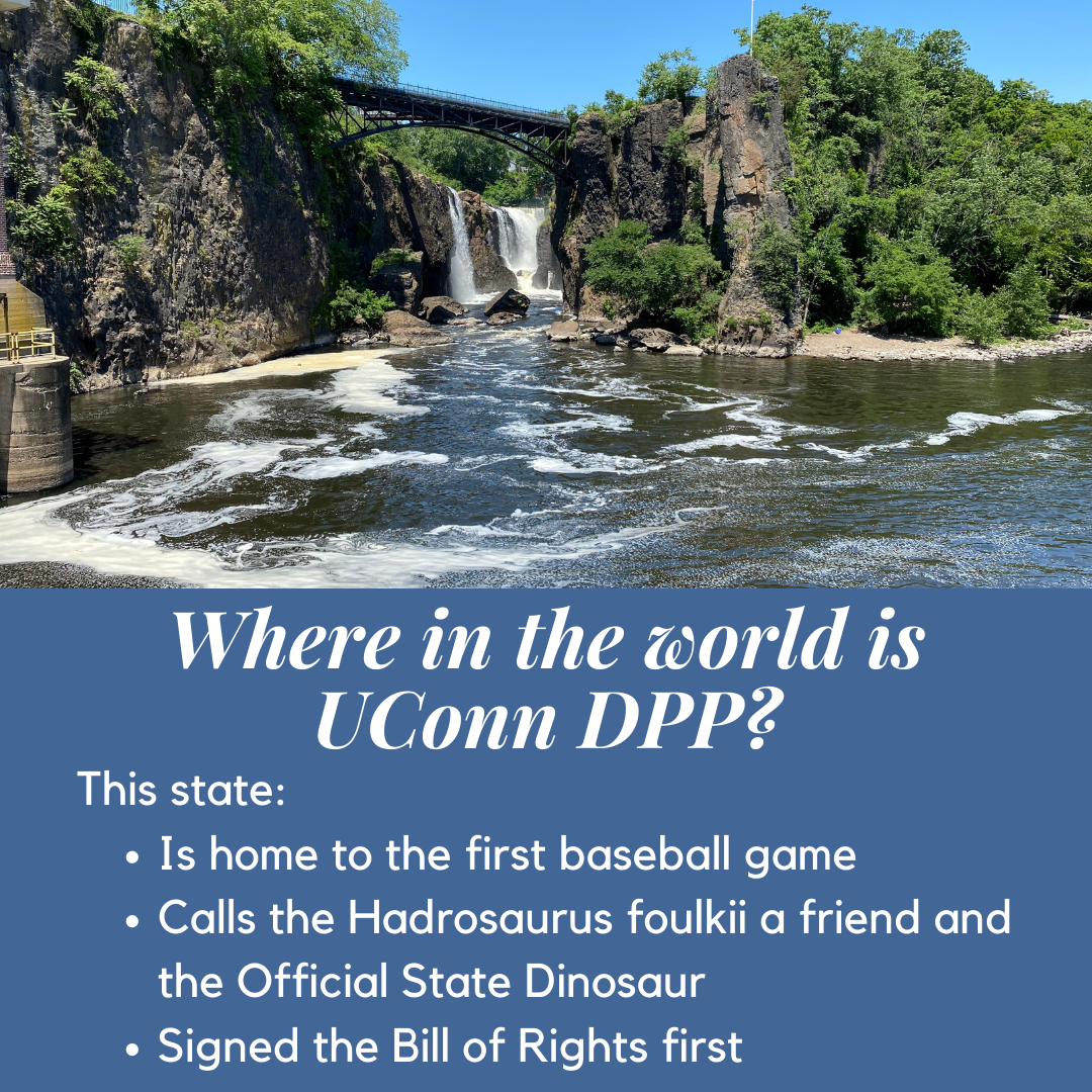 Where in the world is UConn DPP? This state: Is home to the first baseball game, Calls the Hadrosaurus foulkii a friend and the Official State Dinosaur, Signed the Bill of Rights first