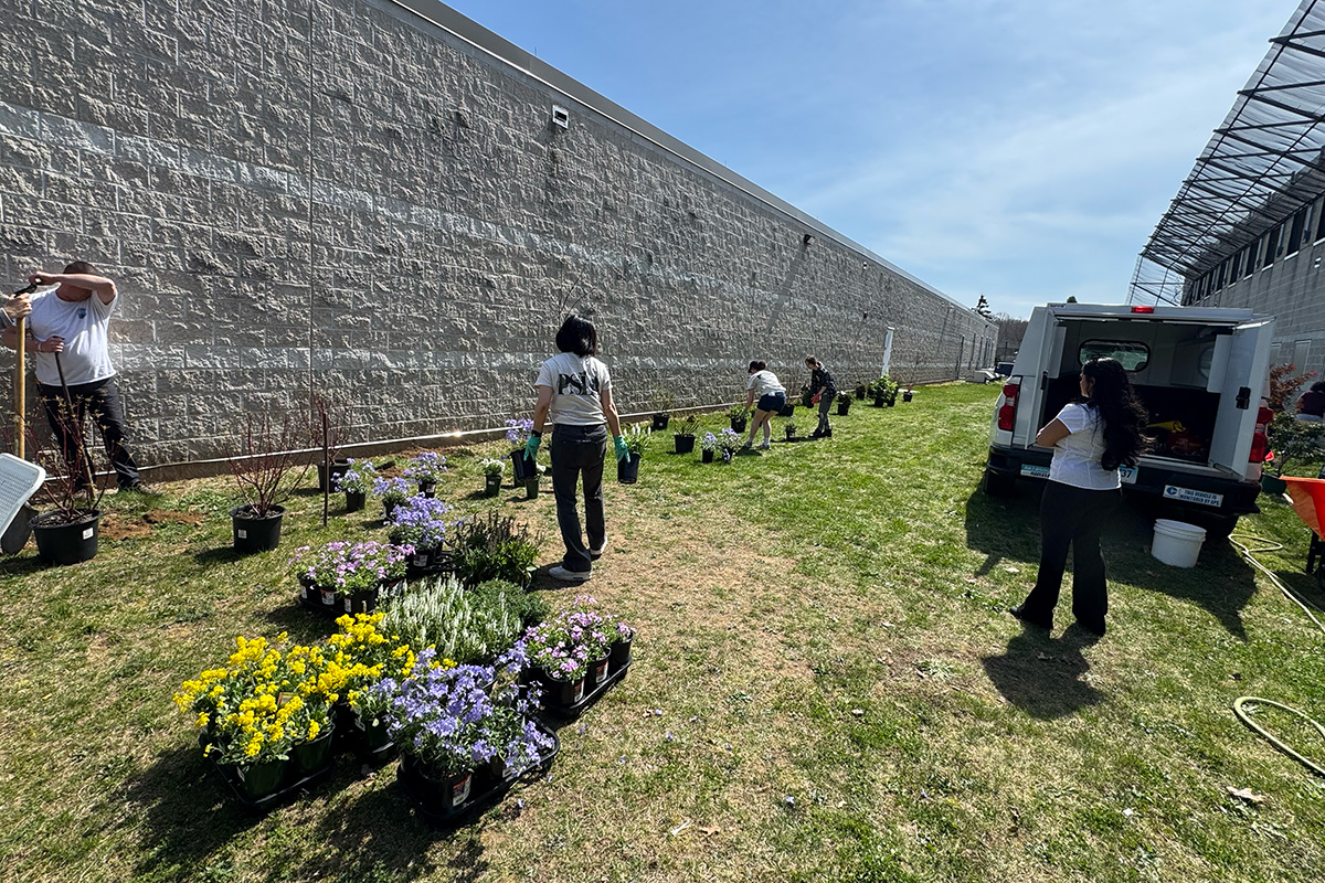 Students and faculty plant trees and flowers at a correctional facility.